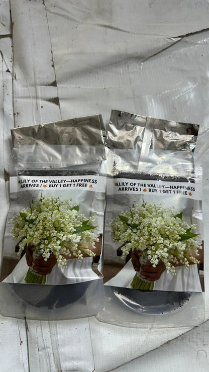 LILY OF THE VALLEY?HAPPINESS ARRIVES  Seeds (Pack of 2)